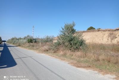 OCAZIE! CAP MIDIA -teren intravilan cu PUZ -5.000 mp, situat lângă mare! - 11