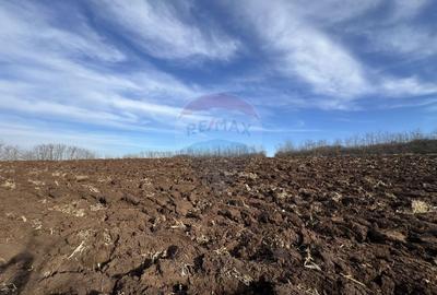 Teren intravilan, Bădeni, parcelabil - 7