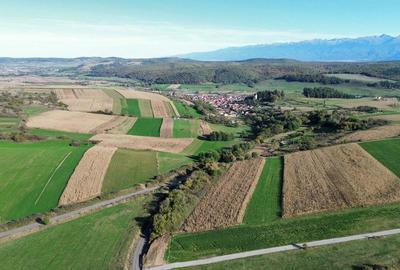 🏡 teren pentru cabane Sibiu, 1992 mp, Dealul Daii, direct de la proprietar - 7