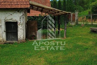 Casa batraneasca de vanzare, 4 camere, in Hunedoara, sat Micanesti - 21