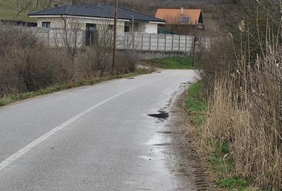 Vânzare teren în GIULA - 2