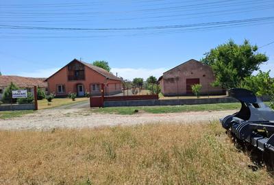 Hală/Grajd + teren mare + Casă modernă - Proprietate mixtă de vânzare în Nădlac - 2