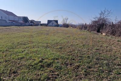 Teren intravilan Argeselu! - 1