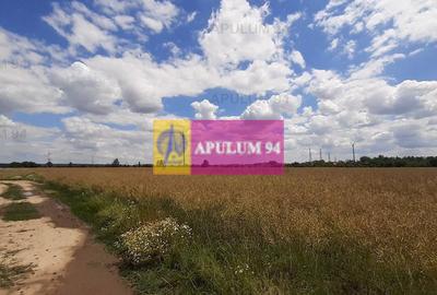 Teren 715mp în Snagov lângă Equestria - 31