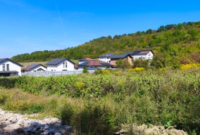 Corunca - 650 mp cu PUZ - zona superba si linistita - 1