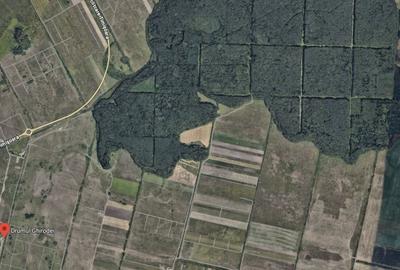 Teren zona Mosnita Padurea Bistra - 1