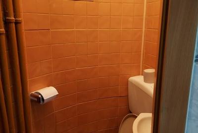 ,3 cam in vila,2 intrari,parter,PARCARE 2 -3 AUTOTURISME, - 23