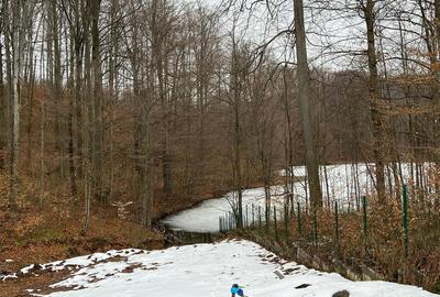 Exclusivitate! VILA PREMIUM CU DESCHIDERE LA LAC MOGOSA - 2