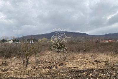 Teren 12,719 mp cu deschidere la DN17-ideal hala/parcare-Crainimat - 1