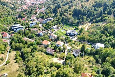 Teren intravilan Brasovul Vechi - 23