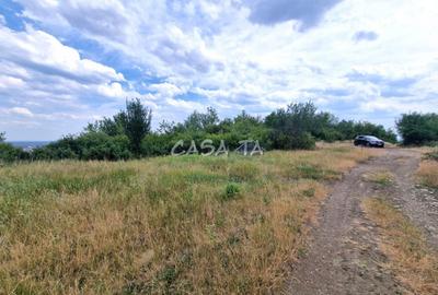 Teren Extravilan (11.464 mp),situat in Targu-Jiu, Str Ciresului - 5