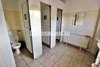 Spatiu de inchiriat Craiesti - 13