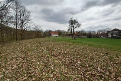 10 000 mp teren intravilan cu priveliste - 14
