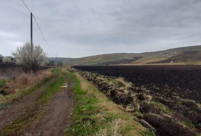 Teren agricol pentru investitii, zona Valea Calda -Iris - 2