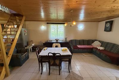 Casă individuală cu 4 camere în Provița de Sus