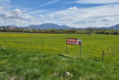 Teren intrare Bran, aproape de Penny, la Drumul European - 4