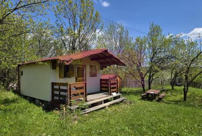 Teren cu Casuta de lemn in Sotrile (langă Valea Doftanei) - 2