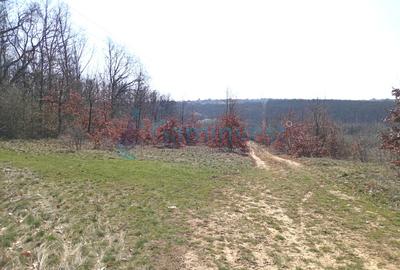 Teren intravilan de vanzare in Paleu, aprape de padure, Bihor - 2