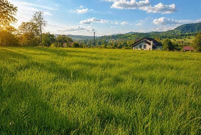 Teren intravilan panoramic, 5.750 mp, view munte, deschidere apreciabila, Ibanes - 3