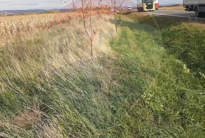 De vânzare teren intravilan, în Săbolciu, cu deschidere la E60 - 6