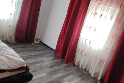Spre vanzare proprietate Manastirea Humorului - Suceava - Bucovina - 5