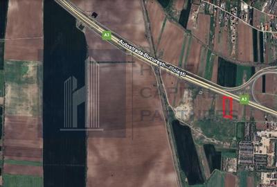 Teren 2727mp | Moara Vlasiei, Caciulati | A3 - 1