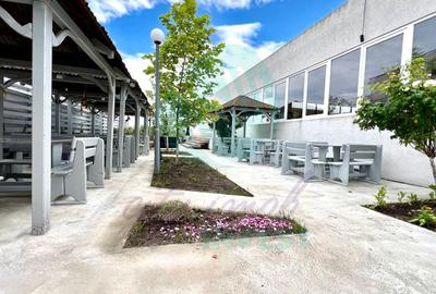 Oportunitate investitie- Restaurant | Venus - 3