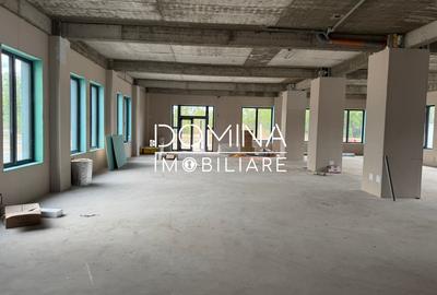 Închiriere spațiu comercial *peste 350 mp cu parcare* - strada Tineretului - 3