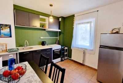 Garsonieră spațioasă de închiriat–zona Decebal / Piața Muncii Prima Inchiriere - 5