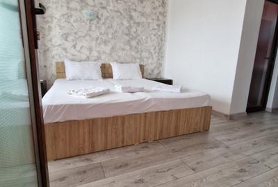 VILA TIP PENSIUNE DE INCHIRIAT | COICIU | UTILITATI INCLUSE | MOBILATA - 6