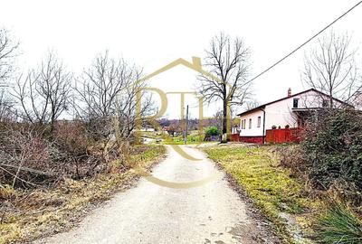 Terenuri extravilane de vânzare – Vizma & Crivobara, comuna Secaș, jud. Timiș - 13