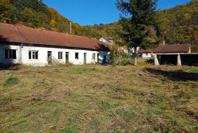 Teren intravilan ideal si de investitie, in Loc. Resita, strada Ciresului - 3