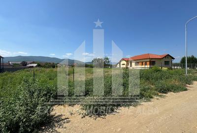 Teren intravilan | 2900 mp | 17 ml deschidere | Alba-Micesti - 1