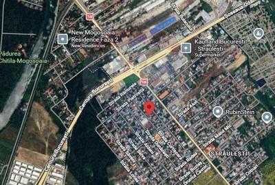 Casă / Vilă cu 3 camere de vânzare în zona Straulesti - 8