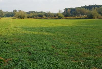 Teren Construcții extravilan de 6300 mp, în Cisnădioara