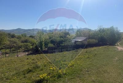Teren extravilan 6.322 mp, împrejmuit, aproape de stadion Cugir, jud. - 3