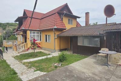Casă cu teren 3.000 mp de vânzare, str. Adevărului-CV0529 - 12