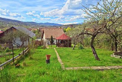 CASA LA VLADESTI - OAZA DE LINISTE APROAPE DE ORAS - 15