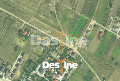 Teren agricol intravilan de 1250 mp, în Tomești