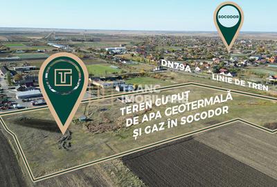 PUT GEOTERMAL NATURAL PE UN TEREN DE 36.476 MP IN SOCODOR, ARAD - 4