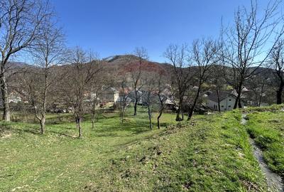 Teren 1,106mp Baia Mare / Strada Firiza - 8