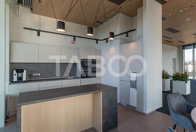 Birouri premium in Sibiu–Spatii flexibile moderne pentru companii - 8