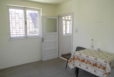 Proprietate cu 2 hale si casa la inchiriat,teren 1350mp - 16