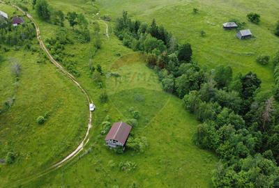 Teren de vanzare 8119 mp Calatele Padure.Muntii Apuseni - 1