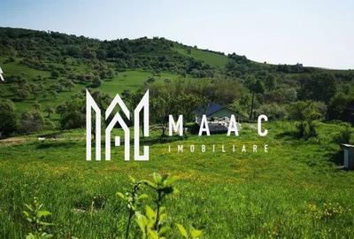 Teren | Intravilan | 5129 MP | 2 Cabane AFrame | Oportunitate Investiție | Bradu - 2