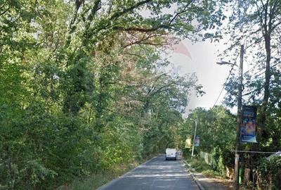 Teren intravilan 9700 mp, sector 1, Bucuresti - 5