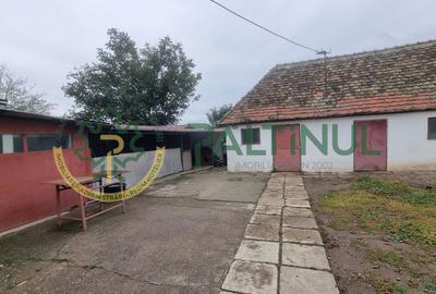 Casă singur în curte, 1.310 mp teren – Gusterița, garaj, pivniță, grădină - 4