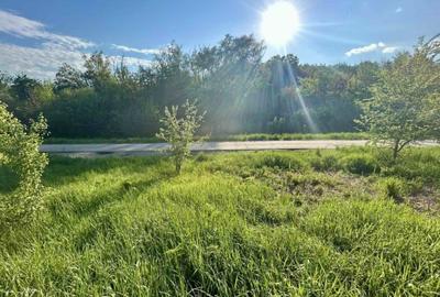 Teren 1000-2000mp intravilan in Gradina Botanica Iasi, 200€/mp, utilitati - 7