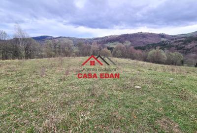 Teren extravilan Valea Doftanei 20.500 mp 6e mp - 5