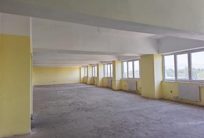 Hale industriale si birouri de inchiriat!! 575-3855 mp - 14